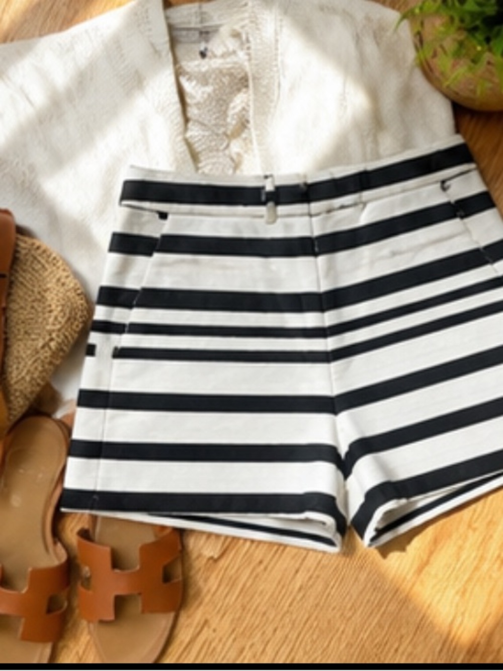 New York & Co Striped Tailored Shorts Cotton Blend Flat Front